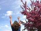 Spring Tree