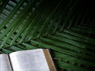 Bible Palm Branches