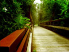 Bridge 2