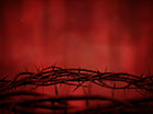 Crown Of Thorns Red Spin