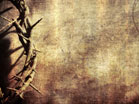 Crown of Thorns 2