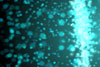 LightVortex
