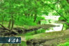 NatureCountdown