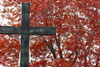 FallCross