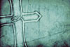FishCrossPaper