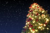 ChristmasTreeSnow