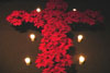 PoinsettiaCross