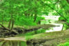 NatureLongplay