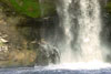 FallsClose
