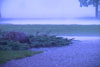 RainStorm