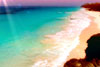 TropicalParadise