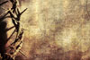 CrownofThorns2