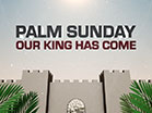 Palm Sunday Jerusalem Collection Palm Sunday Jerusalem Collection
