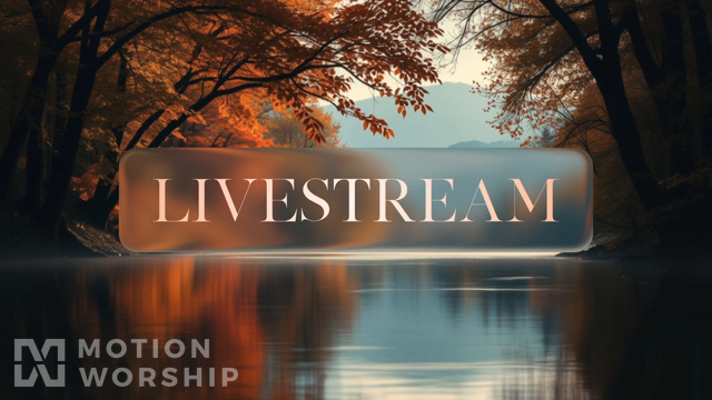 Autumnal Livestream