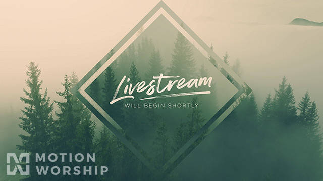 Misty Pines Livestream