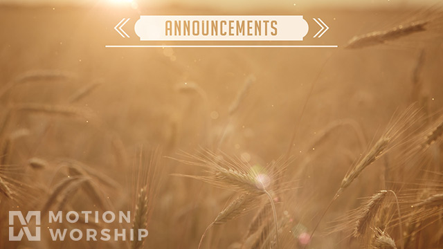 Summer Wheat Announcements