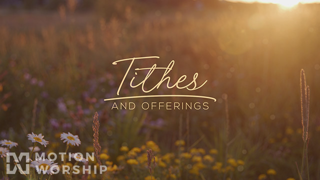 Summer Wildflowers Tithes Offering