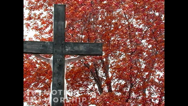 Fall Cross