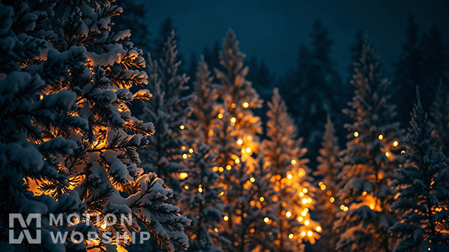 Christmas Glow Bokeh Night