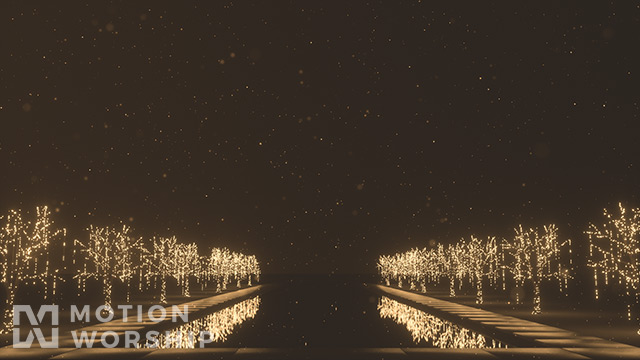 Christmas Gold Reflecting Pool