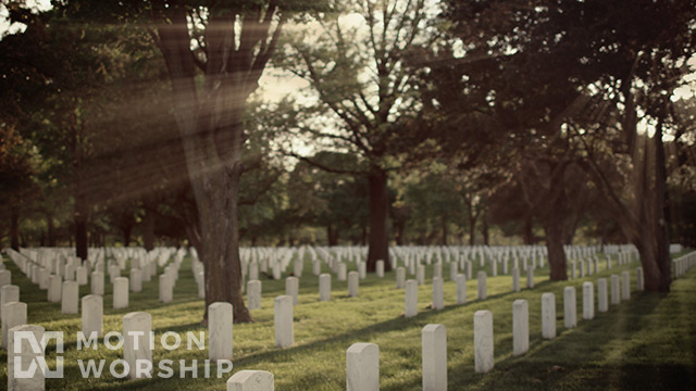 Military Cemetery Forest Rays