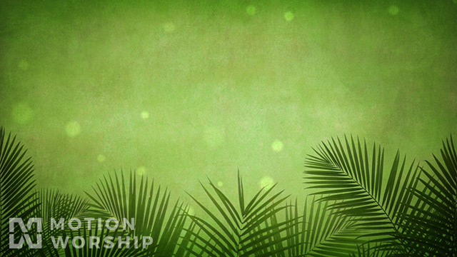 Palm Branches Green