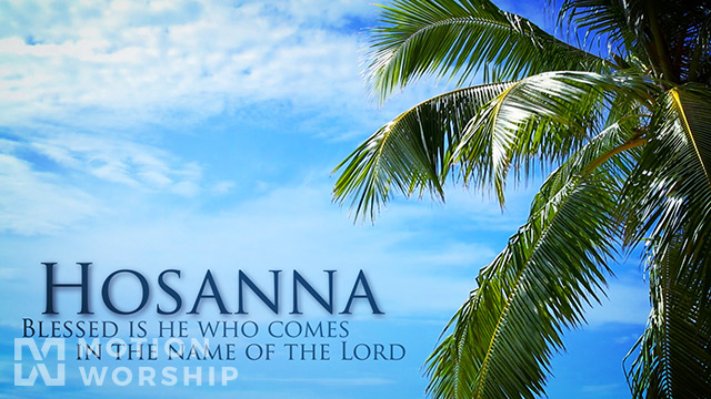 Palm Sunday Hosanna