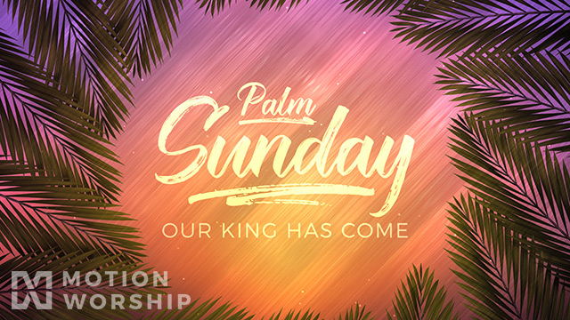 Vivid Fibers Palm Sunday