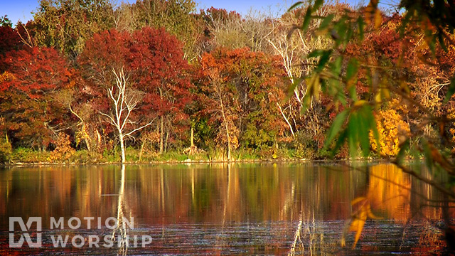 Autumn Lake