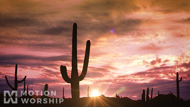 Desert Sunset