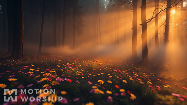 Eden Dusk Forest