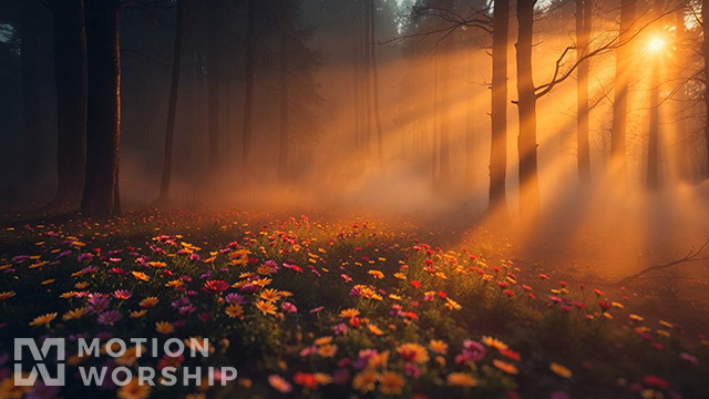 Eden Dusk Forest Stationary