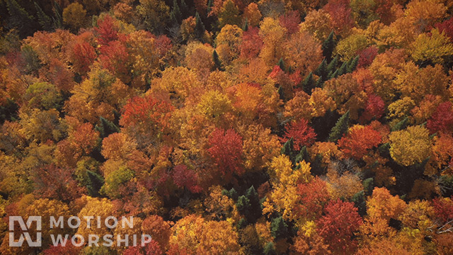 Epic Autumn Aerial Overhead View