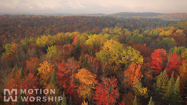 Epic Autumn Aerial Reverse Flight