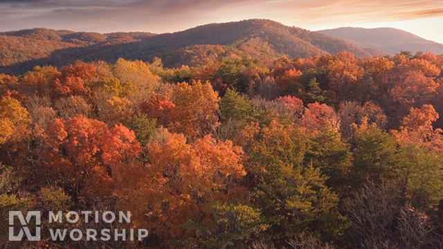 Epic Autumn Aerial Vivid Trees