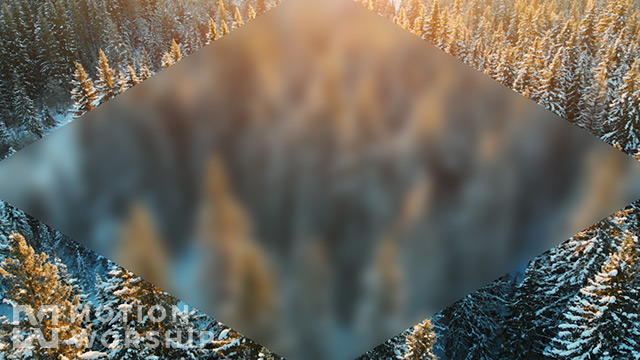 Epic Winter Aerial Trees Blur