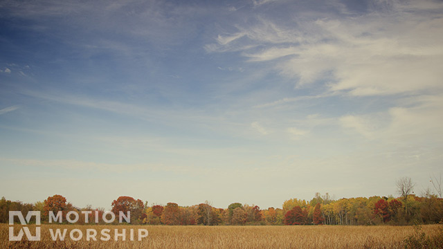 Fall Colors Blue Sky