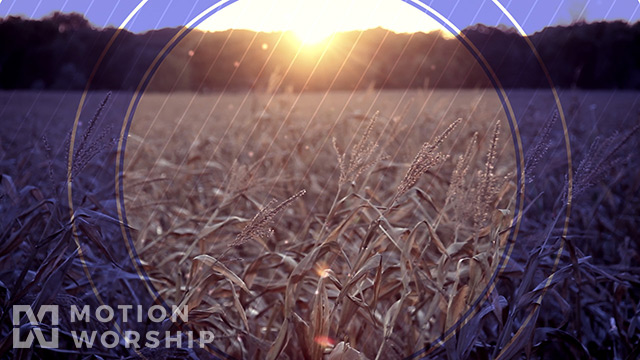 Fall Harvest Cornfield Sunset