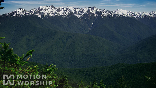 Mountain Pines Majestic Peaks