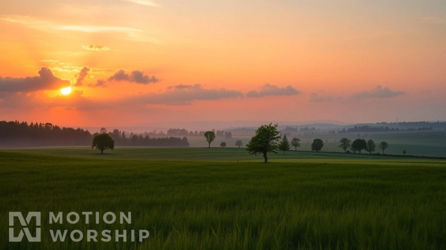 Pastoral Grass Field