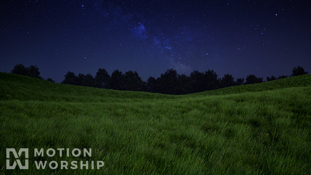 Prairie Grass Field Night