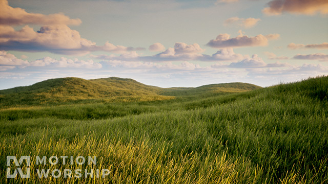 Prairie Grass Wind