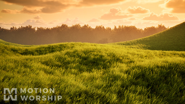 Prairie Sunset Field