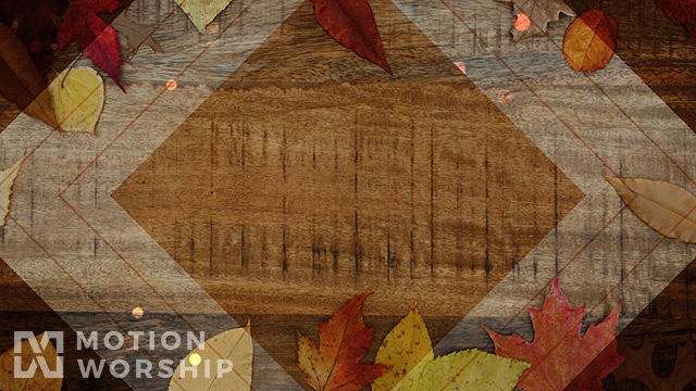 Rustic Wood Autumn Leaves Bright