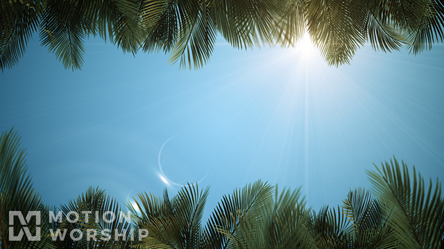 Sky View Palm Branches Blue