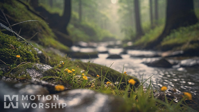 Spring Creek Mossy Brook