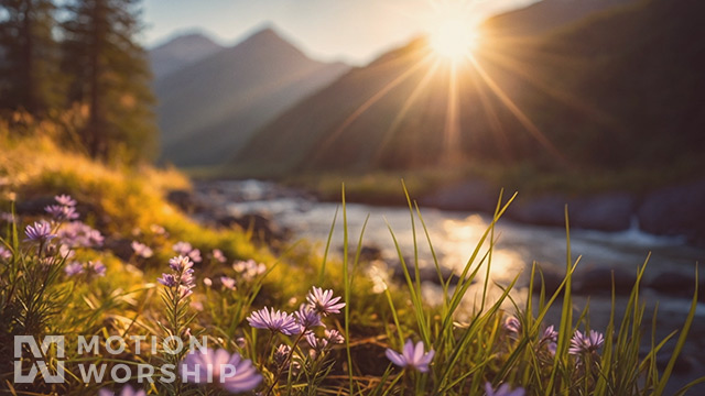 Spring Creek Purple Flowers