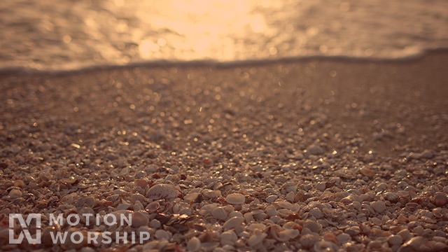 Sunset Surf Shells