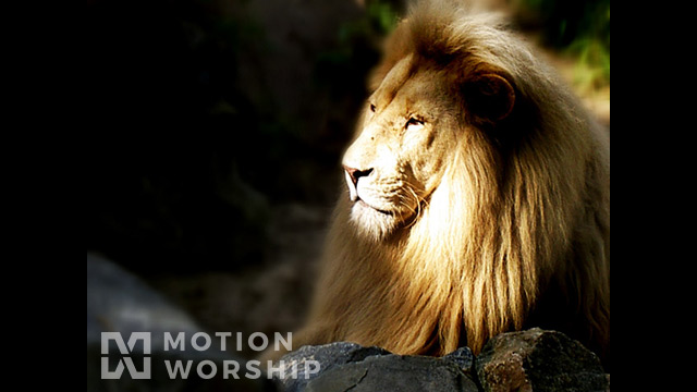 Lion Of Judah