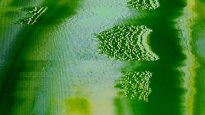 VHS Glitch Green Noise